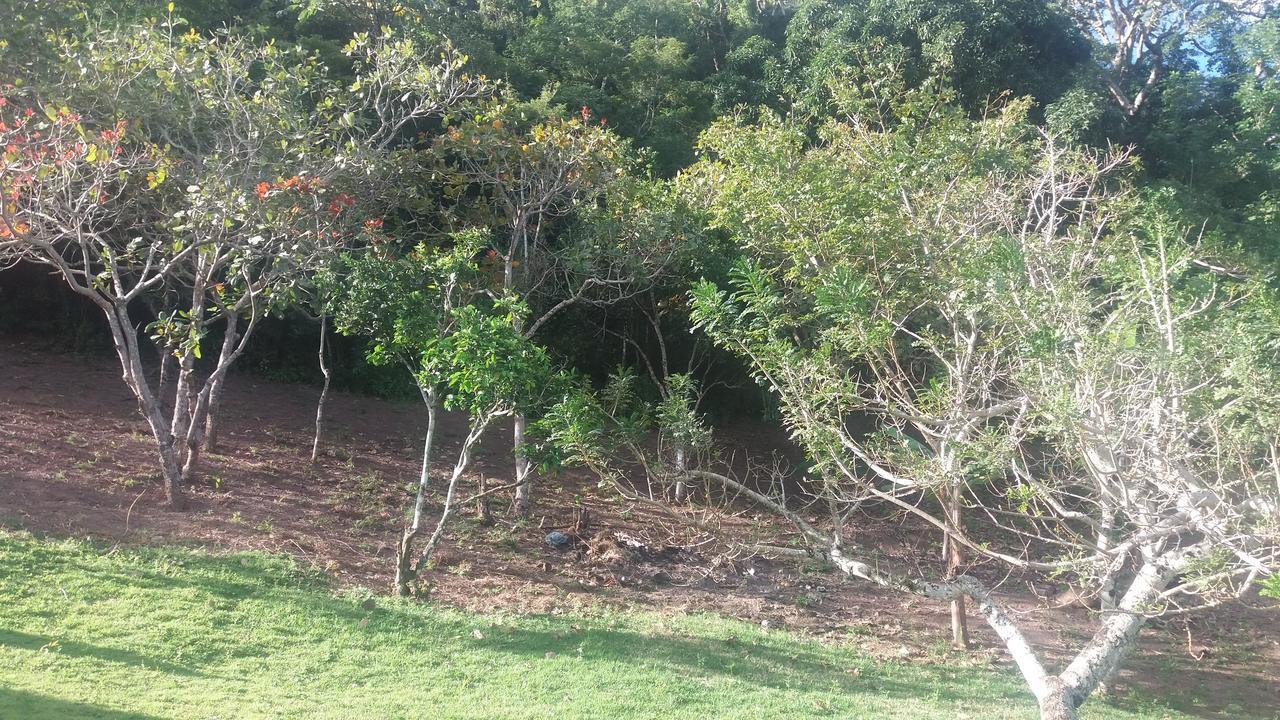 Refugio Na Serra Bananeiras Exterior photo